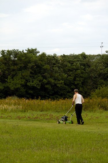 Problems With Lawn Mowers Running Slow Hunker