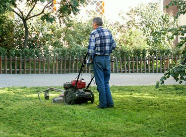 Horizontal lawn best sale mower engine