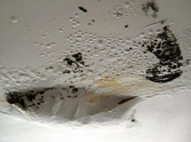 How to Remove Water Stains on Walls