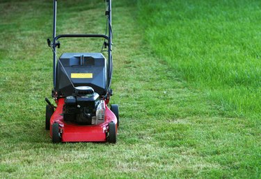 Carburetor on push online mower