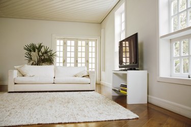 Interior of modern living room