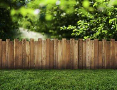 garden fence