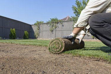 new lawn