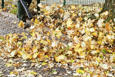 clearing of pavement from autumn leaves