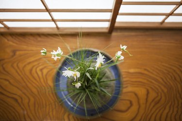 Japanese flower arrangement