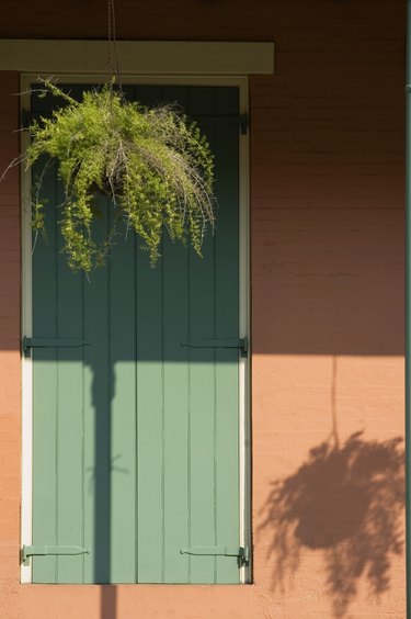 Closed shuttered window and hanging basket