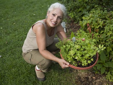 Portrait of mature woman in garden holding flower pot with herbs, smiling
