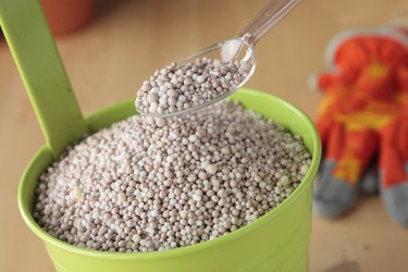 Spoon of fertilizer