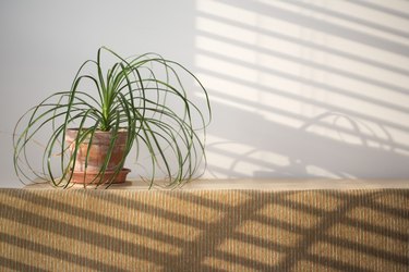 insecticides