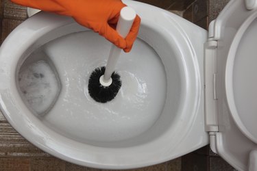 Gloved hand cleaning toilet bowl using brush