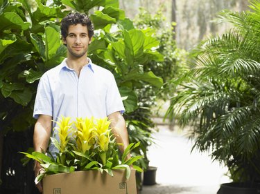 Young man shopping for plants in greenhouse