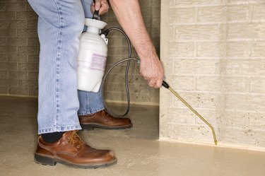 Man spraying crevices
