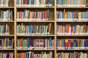 Book shelfs in children's library.