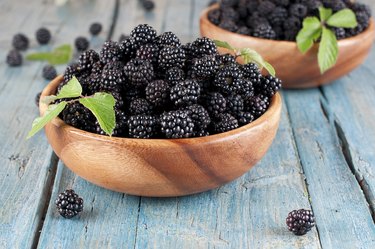 fresh  blackberry