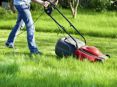 Life Expectancy of a Lawn Mower | Hunker