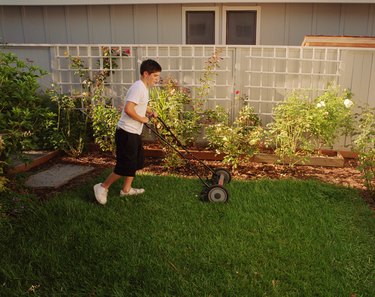 Adolescent Boy Mowing the Lawn