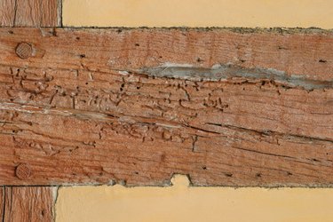 Wooden support beam in wall