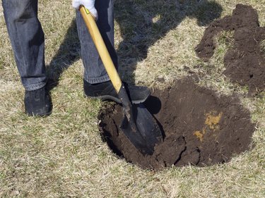 Hole for plant