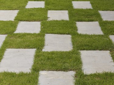 Footpath