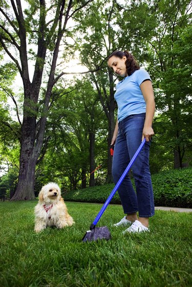 Hookworm hot sale lawn treatment