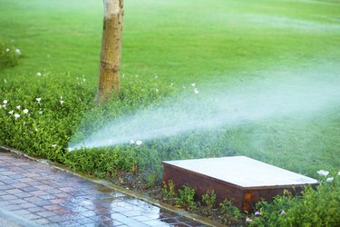 Automatic sprinklers watering grass