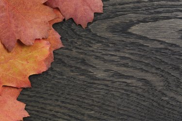 autumn background with red oak leaves on stained oak table