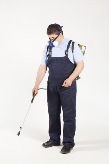 pest control