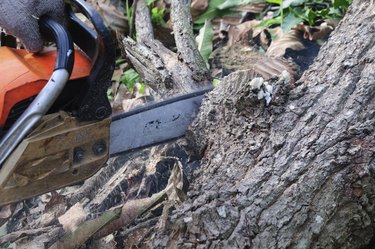 The saw cutting the wood