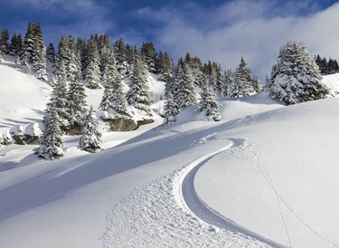 Snowboard track