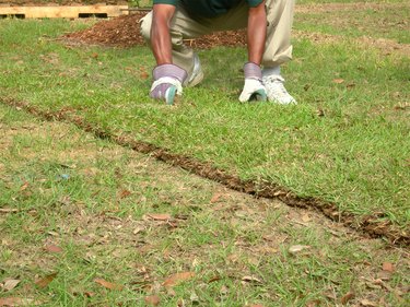 Sodding a Lawn