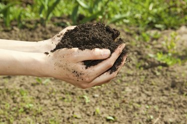 hands with soil