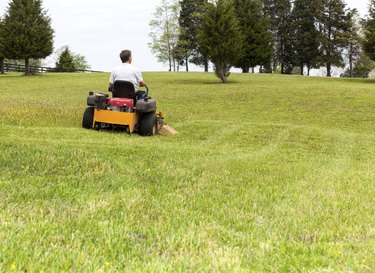 Senior man rides zero turn lawn mower on turf