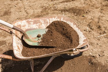 Community garden