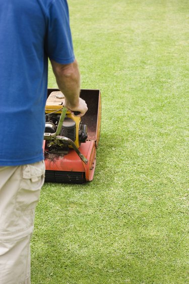 Person mowing lawn