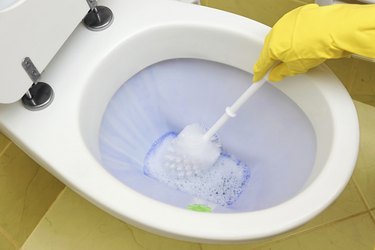 Toilet scrubbing