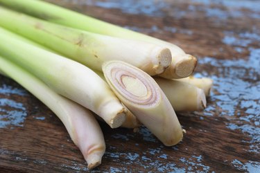 Lemon grass