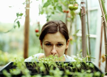 Young woman looking at plants in greenhouse, close-up