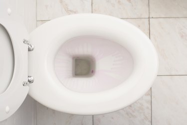 How a Clogged Toilet Can Be Dangerous