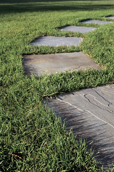Grass with stepping stones