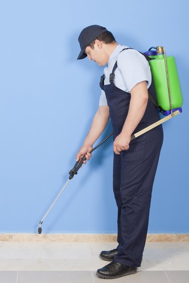 pest control