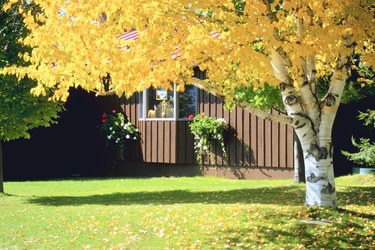 House exterior in autumn