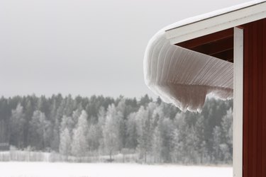 Snow covered eaves and forest