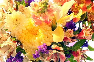 Close-up of spring bouquet of flowers