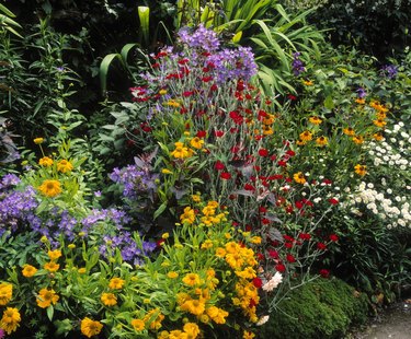 English style Garden, Ireland