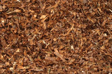 mulch