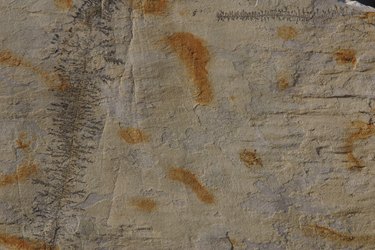 Texture of rock or concrete surface
