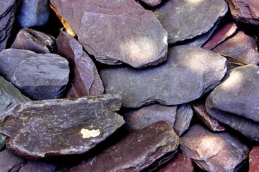 Close-up of purple slate paddle stone in dappled light