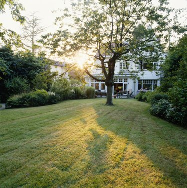 House with lawn
