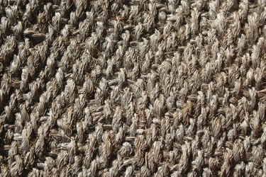 How to Clean a Wool Rug from Dog Urine