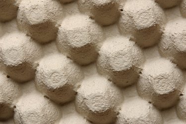 Underside of egg carton texture